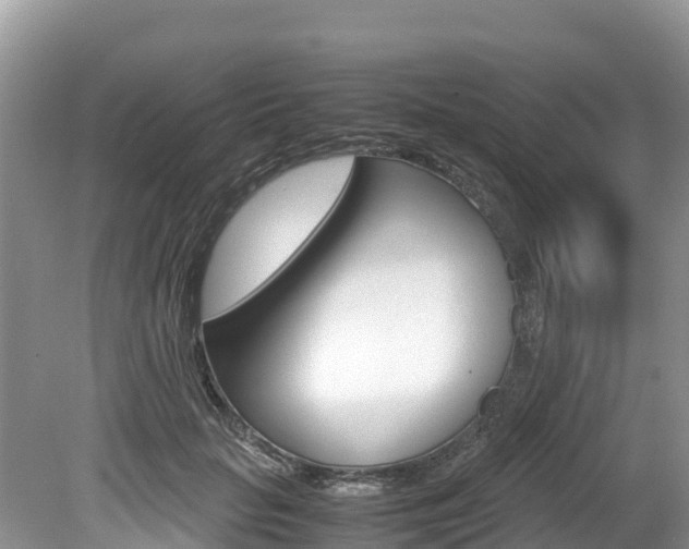 X0000080110653200612080956