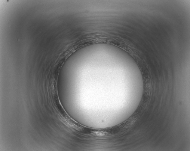 X0000080110654200612080956