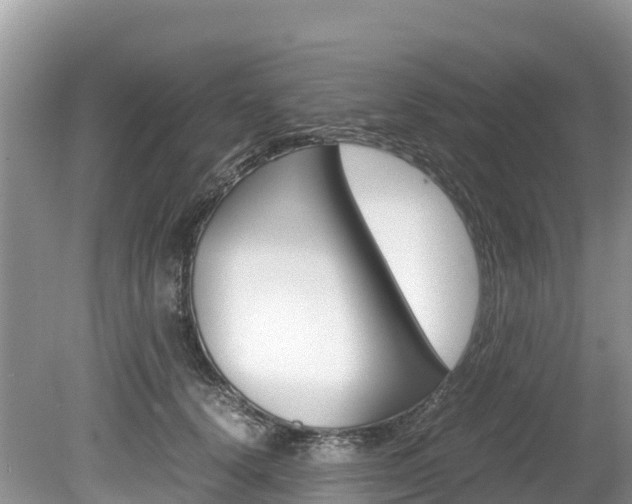 X0000080110656200612080956