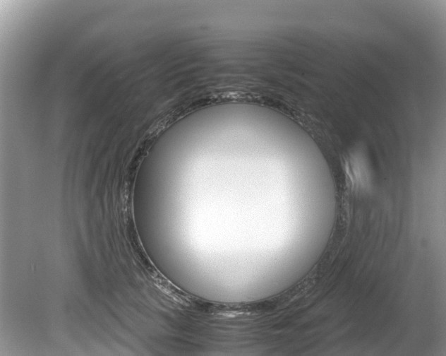X0000080110657200612080956