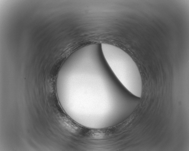 X0000080110658200612080956