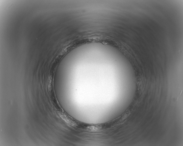 X0000080110660200612080956