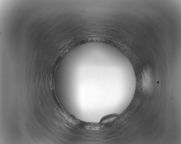 X0000080110661200612080956