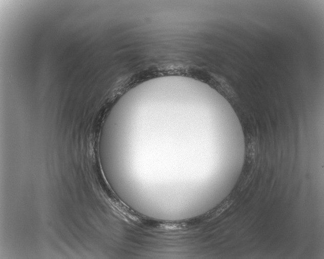 X0000080110662200612080956