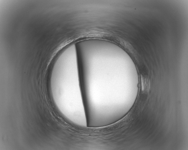 X0000080110675200612080956