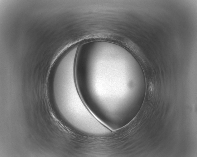 X0000080110676200612080956