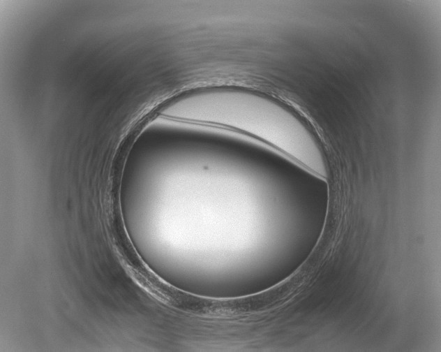 X0000080110677200612080956