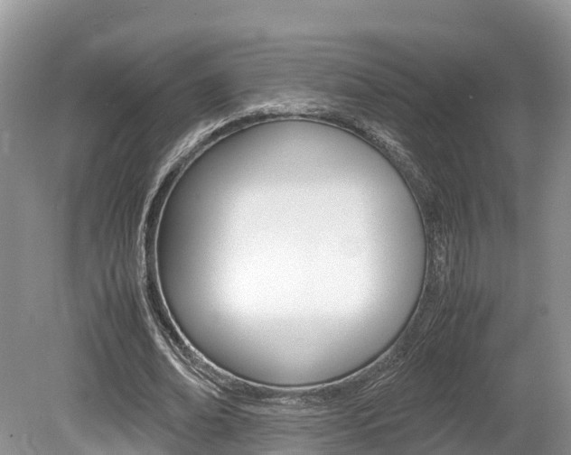 X0000080110678200612080956