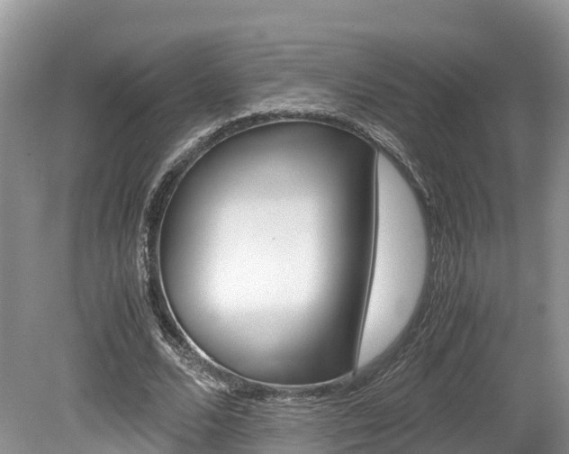 X0000080110680200612080956