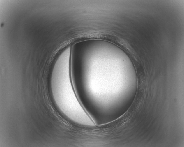 X0000080110681200612080956