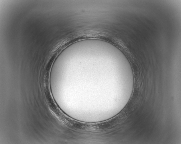 X0000080110683200612080956