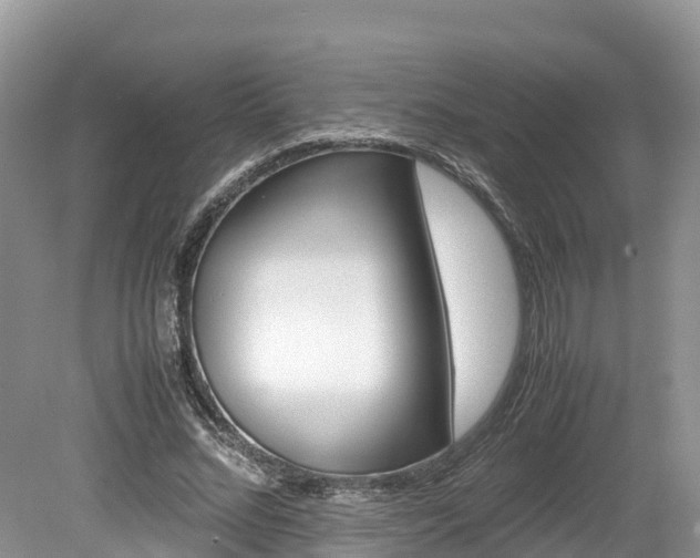 X0000080110684200612080956