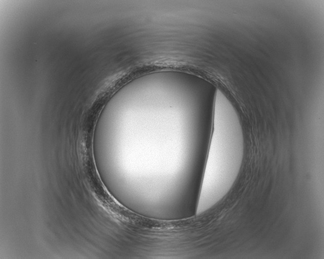 X0000080110688200612080956