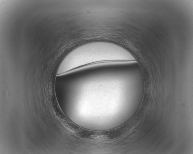 X0000080110689200612080956