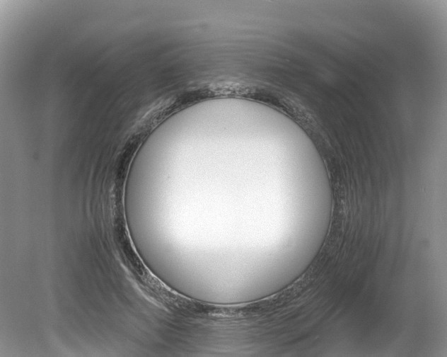 X0000080110690200612080955