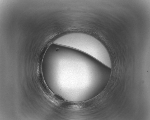 X0000080110692200612080955