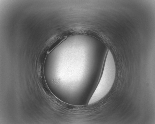 X0000080110693200612080955