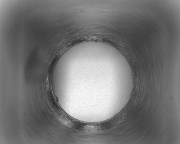 X0000080110699200612080955