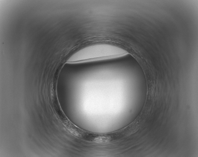 X0000080110700200612080955