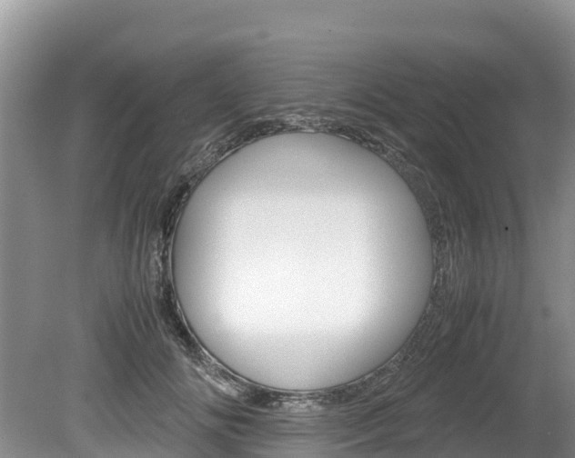 X0000080110702200612080955