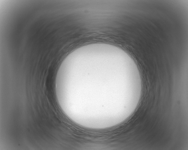 X0000080110705200612080955