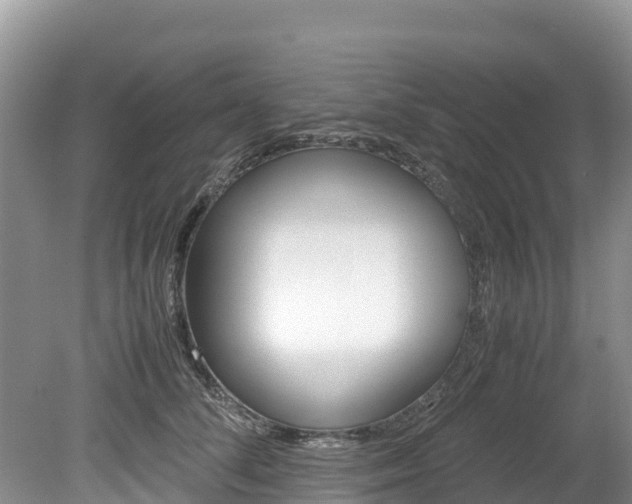 X0000080110708200612080955