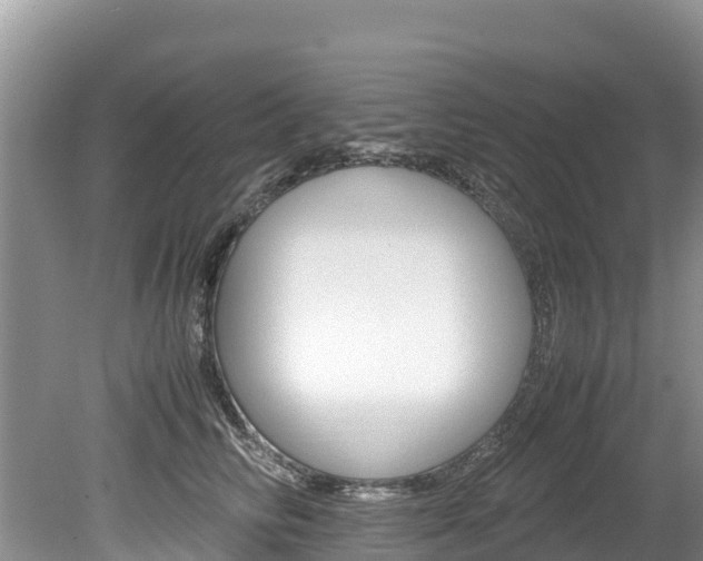 X0000080110710200612080955