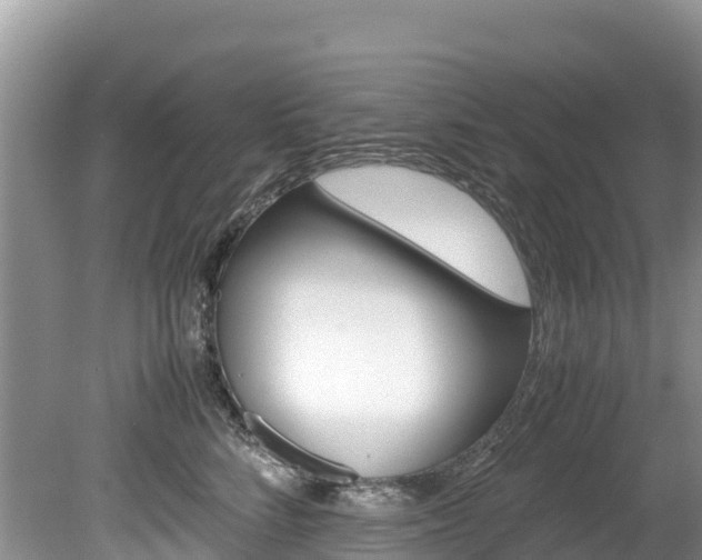 X0000080110712200612080955