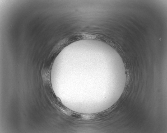 X0000080110713200612080955