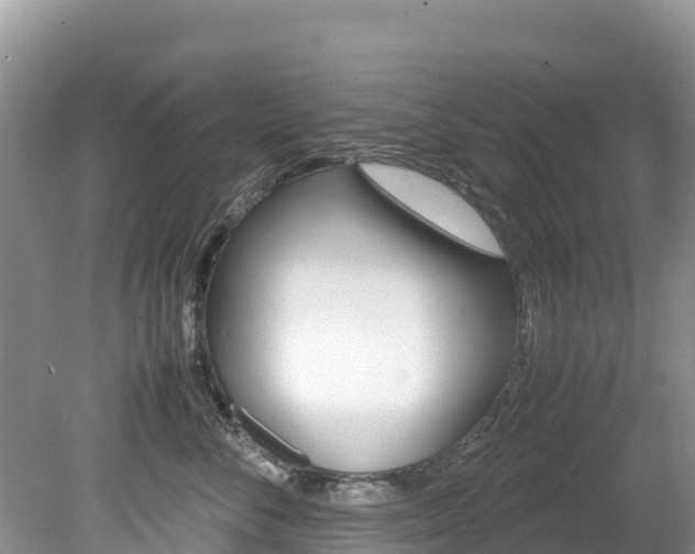 X0000080110716200612080955
