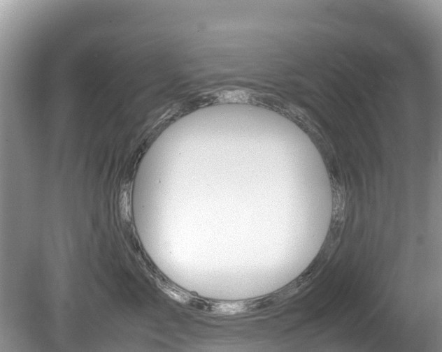 X0000080110717200612080955