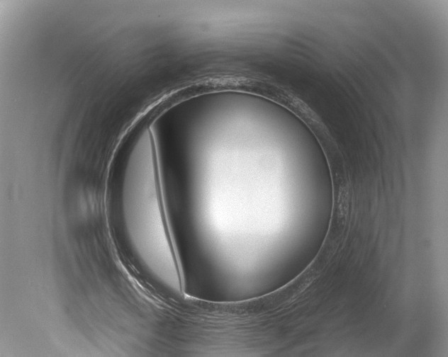 X0000080110722200612080954