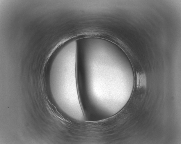 X0000080110723200612080954