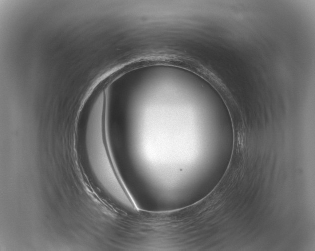 X0000080110724200612080954