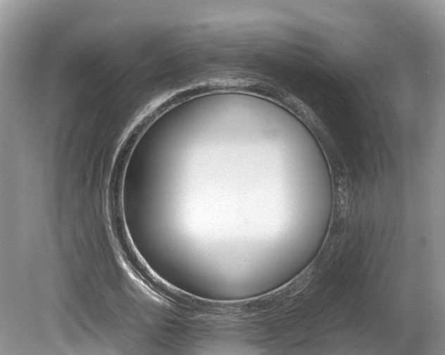 X0000080110726200612080954