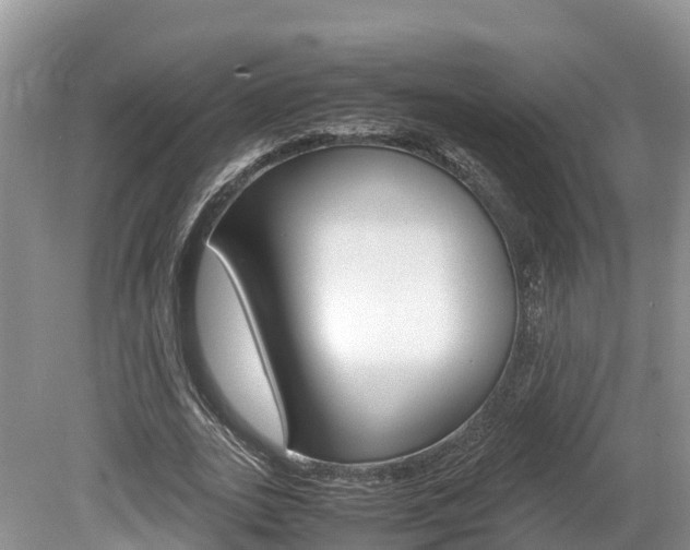 X0000080110727200612080954