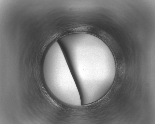 X0000080110729200612080954