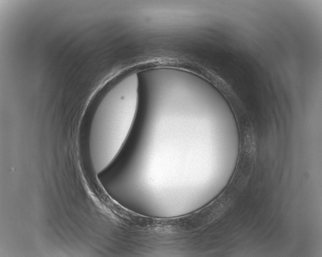 X0000080110730200612080954