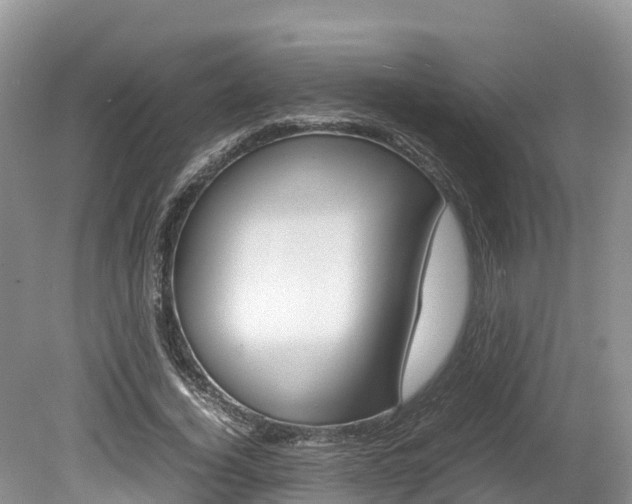 X0000080110732200612080954