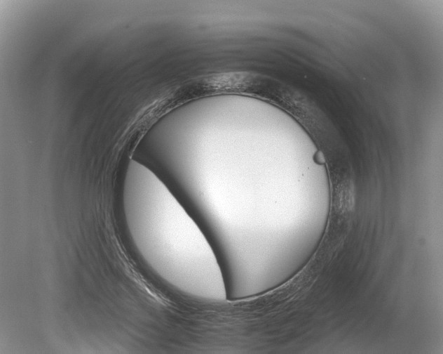 X0000080110733200612080954