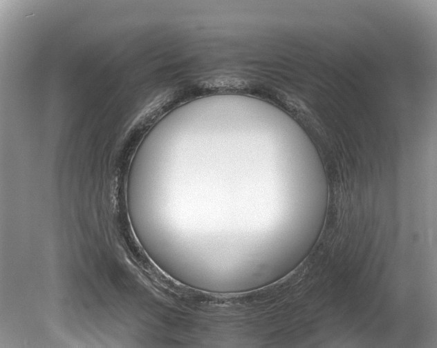 X0000080110735200612080954