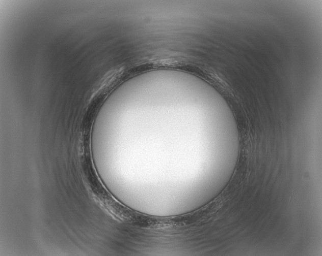 X0000080110738200612080954