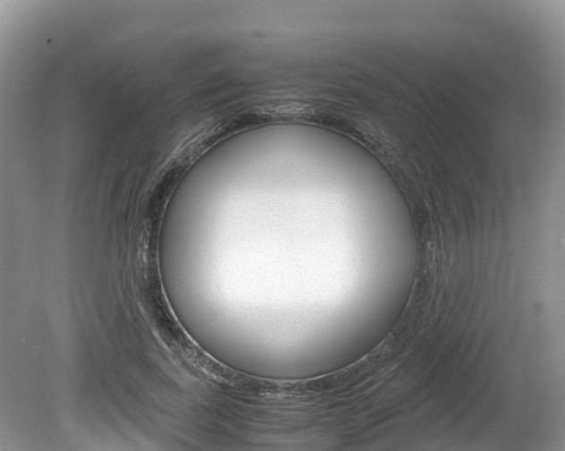 X0000080110739200612080954