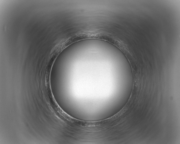 X0000080110740200612080955