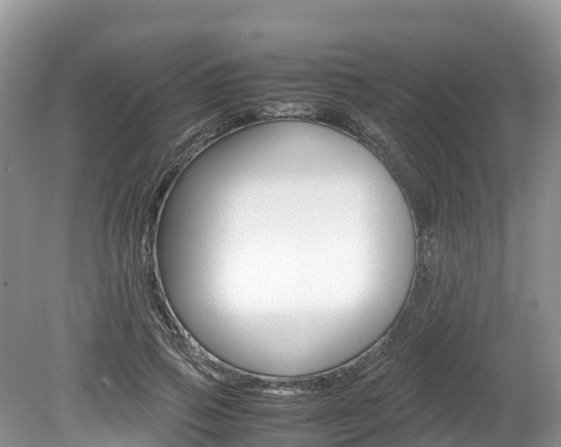X0000080110741200612080955