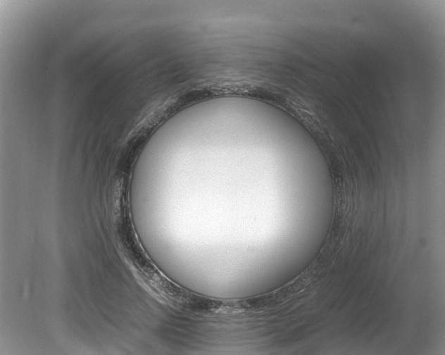 X0000080110742200612080955