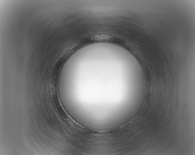 X0000080110743200612080955