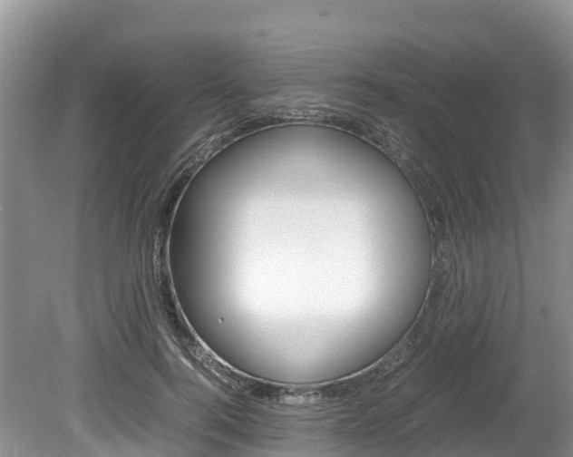 X0000080110744200612080955