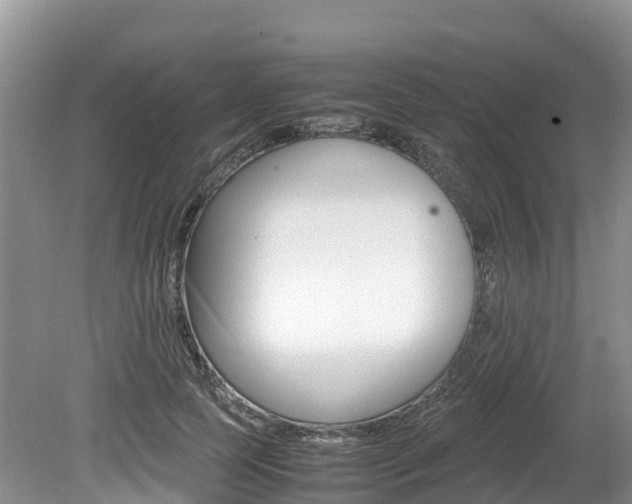 X0000080110745200612080955