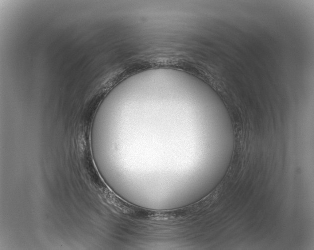 X0000080110746200612080955